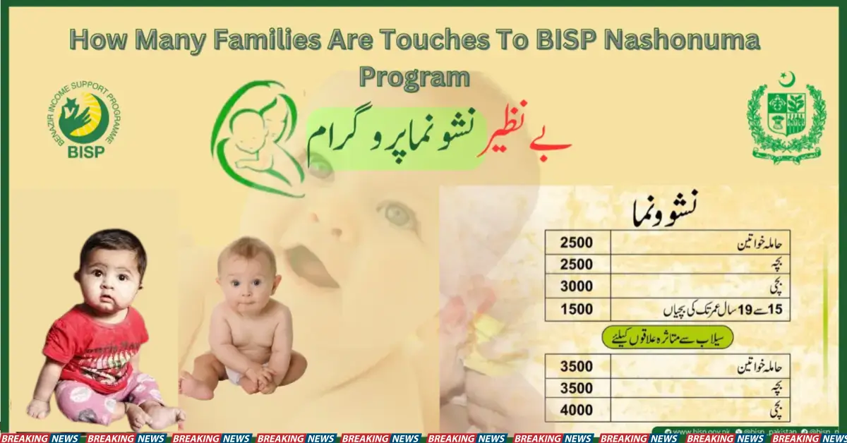 How Many Families Are Touches to BISP Nashonuma Programme