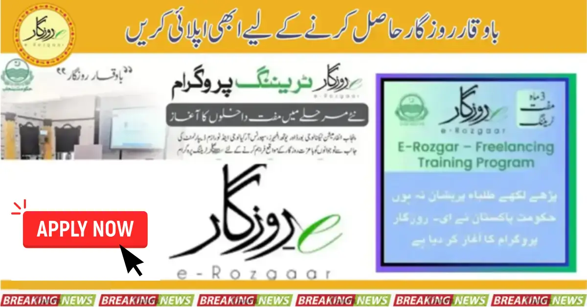 Punjab eRozgar Program Online Admission Last Date 2024